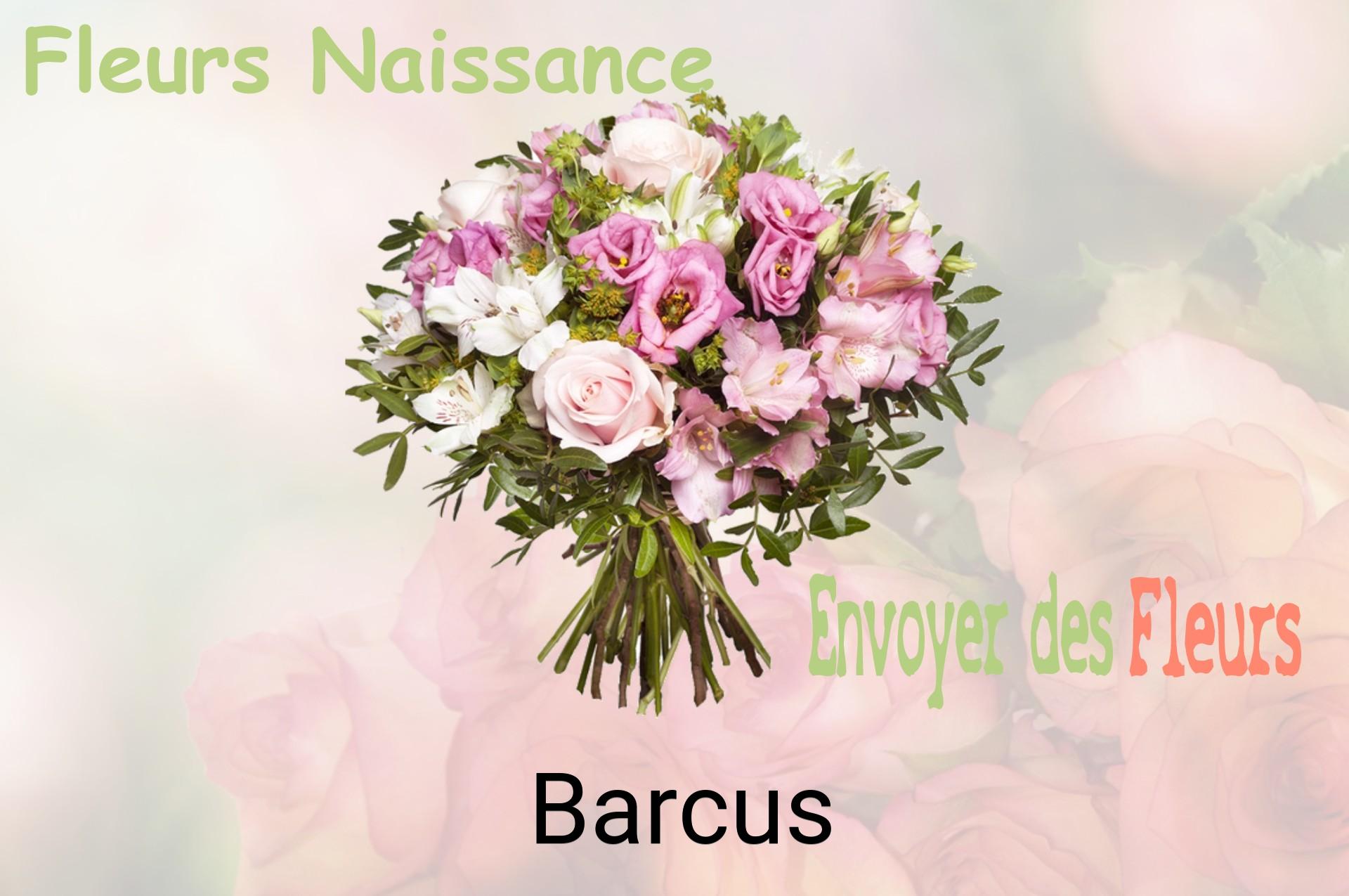 Bouquet de fleurs de naissance livré à Barcus